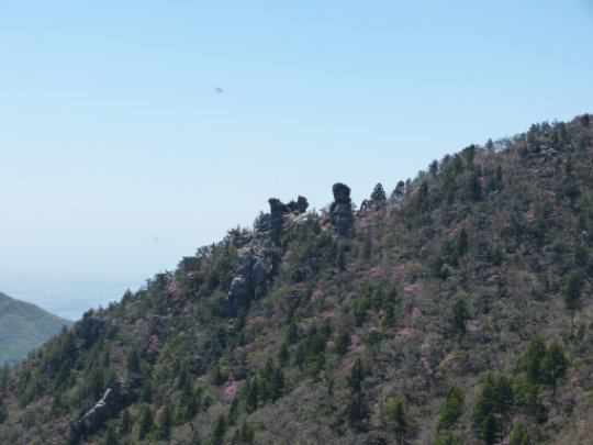 青岳